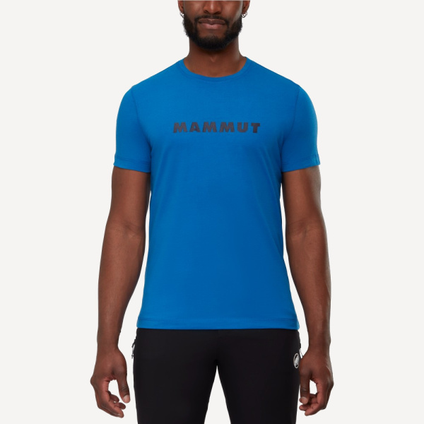 Футболка Mammut Core T-Shirt M Logo (Мужской; XL; Ice)